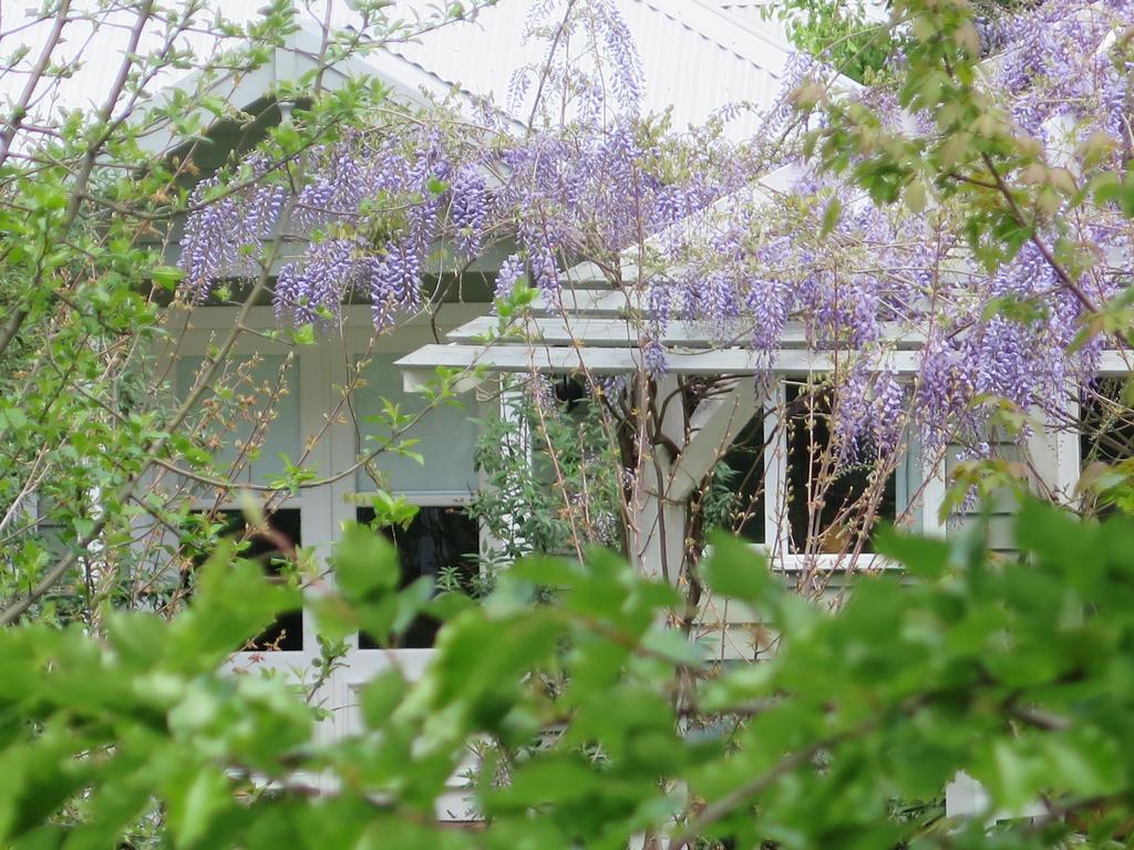 Amelina Cottages Marysville Exterior foto